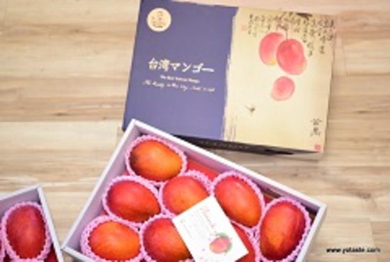 使用台灣最嚴格芒果篩選標準的芒果禮盒,芒果能寄日本嗎?芒果可以寄日本,但眼鏡伯芒果直送日本禮盒是唯一推薦